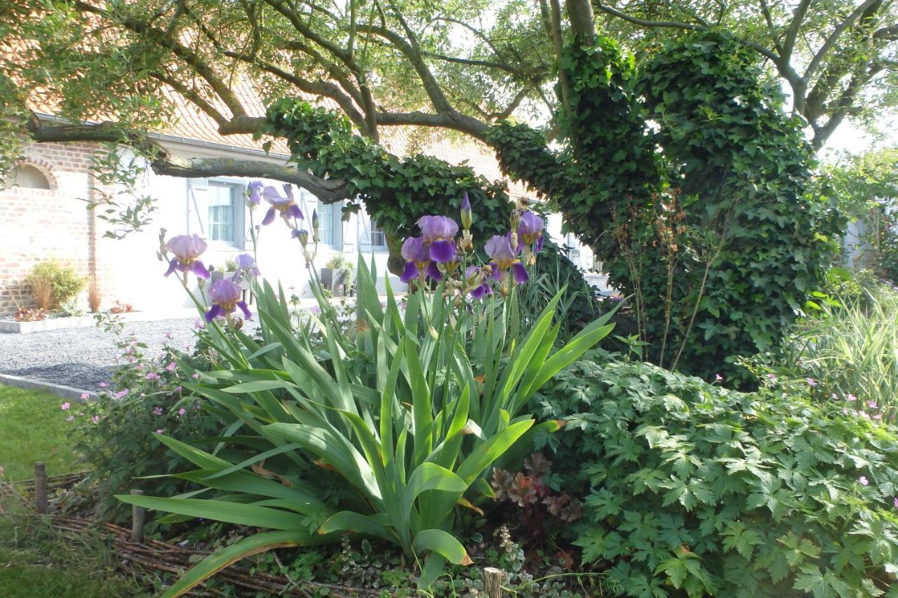 Bed and Breakfast Au Reve En Somme Hautvillers-Ouville Exterior foto